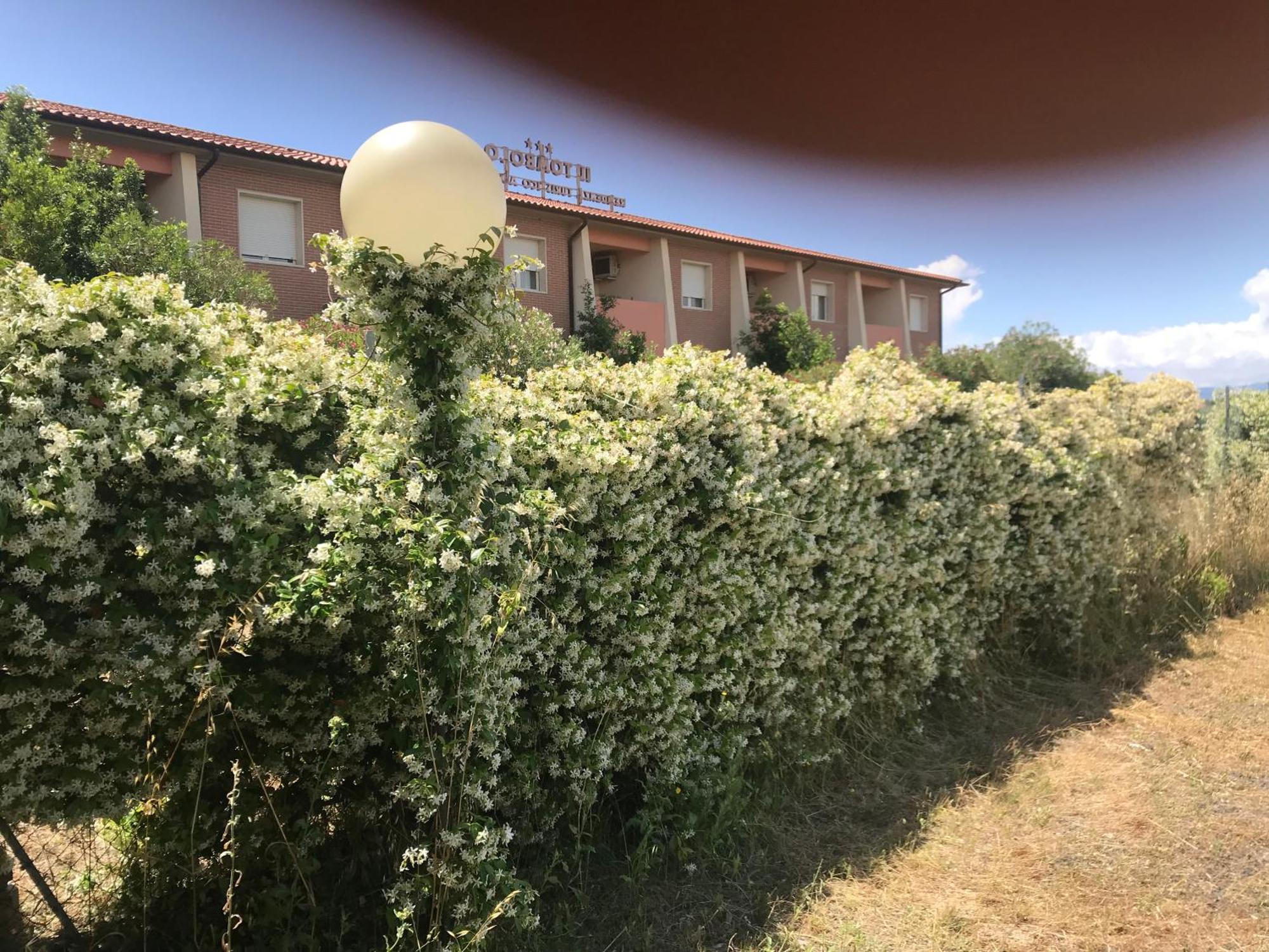 Residence Il Tombolo Principina a Mare Exterior foto